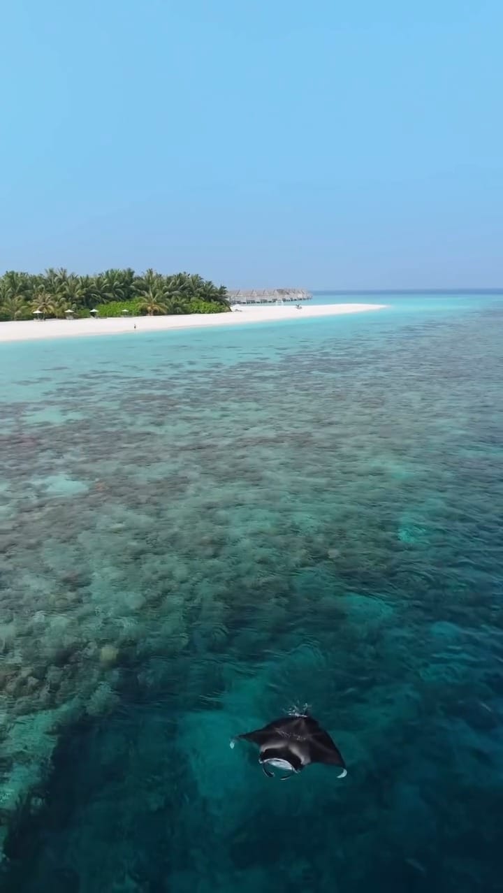 Post 1 by World Travel Magazine on Instagram (video)