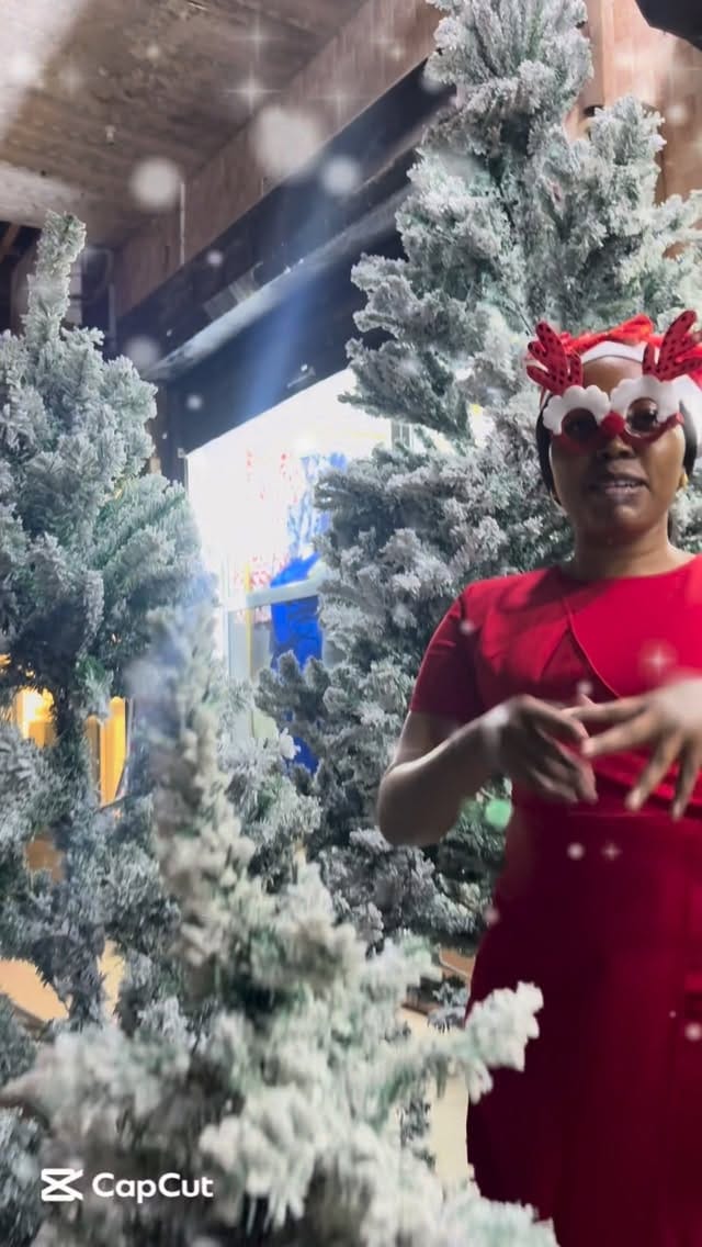 Post 8 by HOME DECOR,VIATU,MABEGI, CHRISTMASS TREE,VYOMBO,HANDBAG/POCHI on Instagram (video)