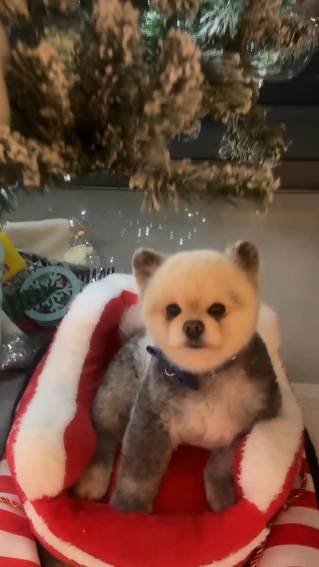 Post 9 by Wander Travel & Life of Yuki 🐼 on Instagram (video)