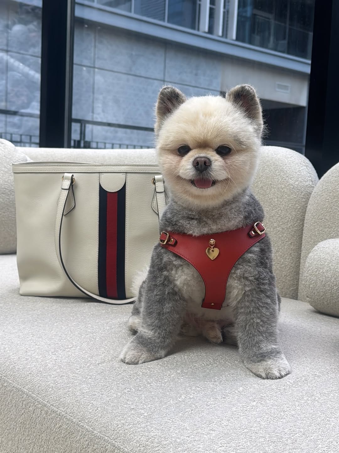 Post 5 by Wander Travel & Life of Yuki 🐼 on Instagram (image)