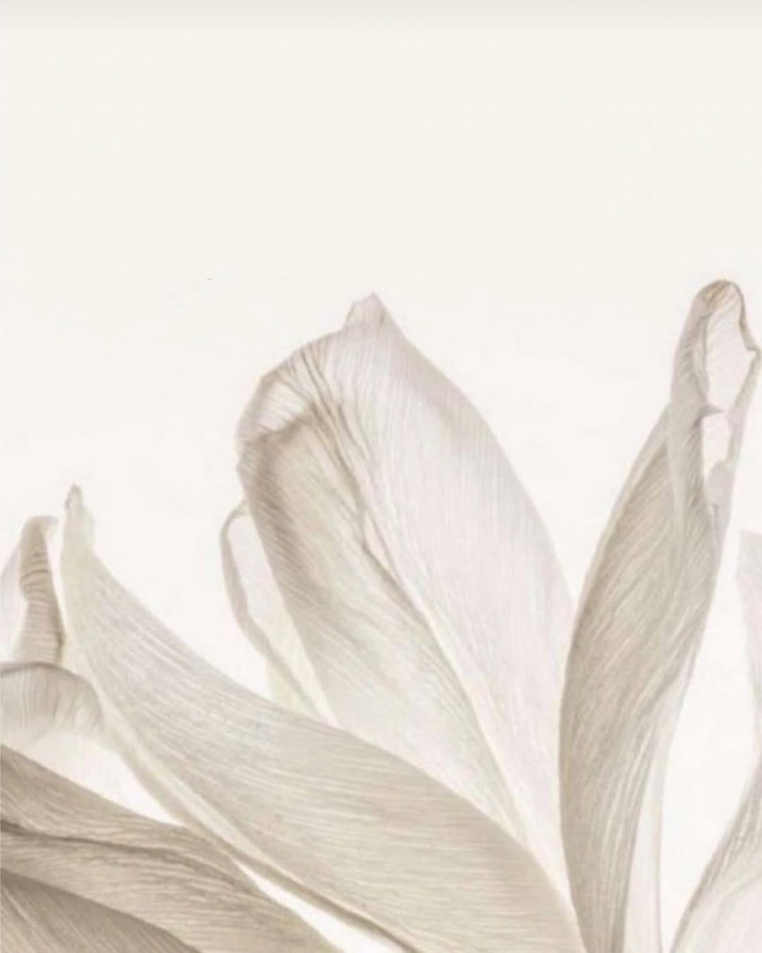 Post 8 by Sahar mouludi chiyana on Instagram (image)