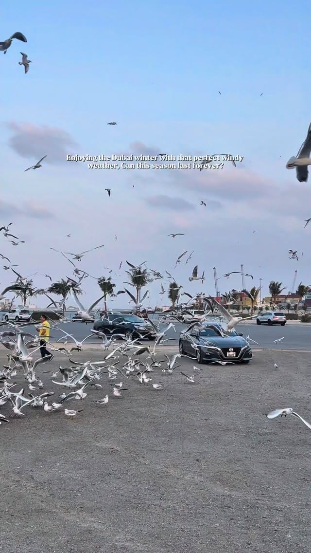Post 6 by Hanan Muhammad | Urr.destination🇦🇪 on Instagram (video)