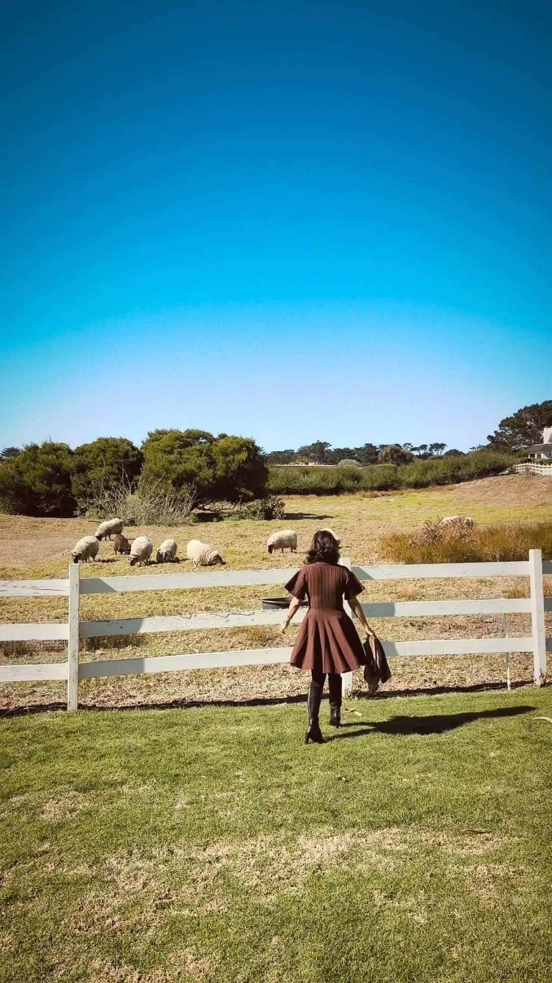 Post 4 by BERRY BAJWA on Instagram (video)