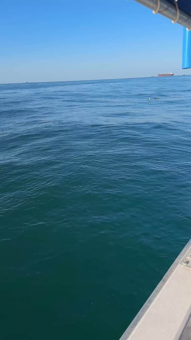 Post 4 by 🇦🇪رحلات صيد سمك🎣Dubai🇦🇪 on Instagram (video)