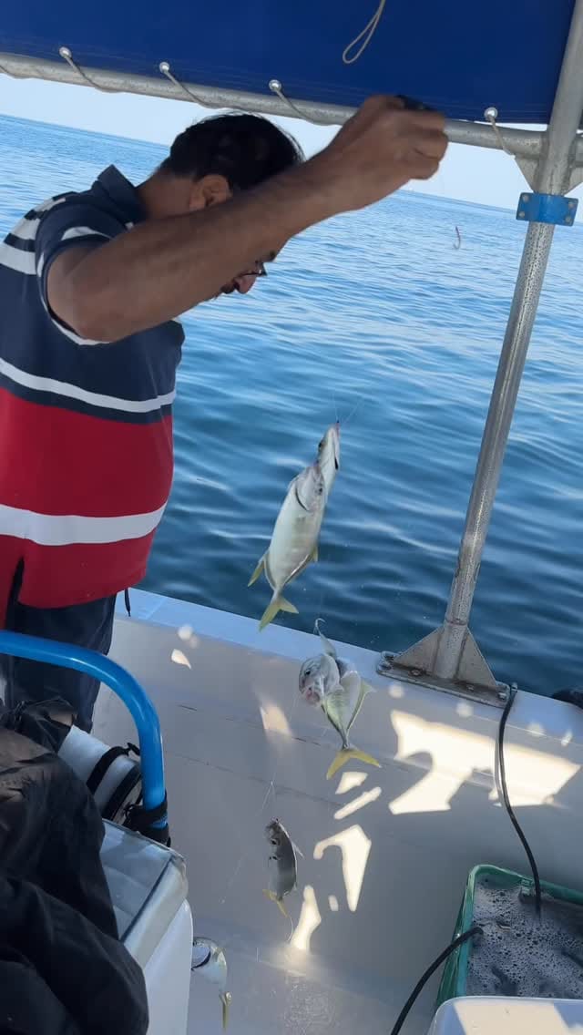 Post 2 by 🇦🇪رحلات صيد سمك🎣Dubai🇦🇪 on Instagram (video)