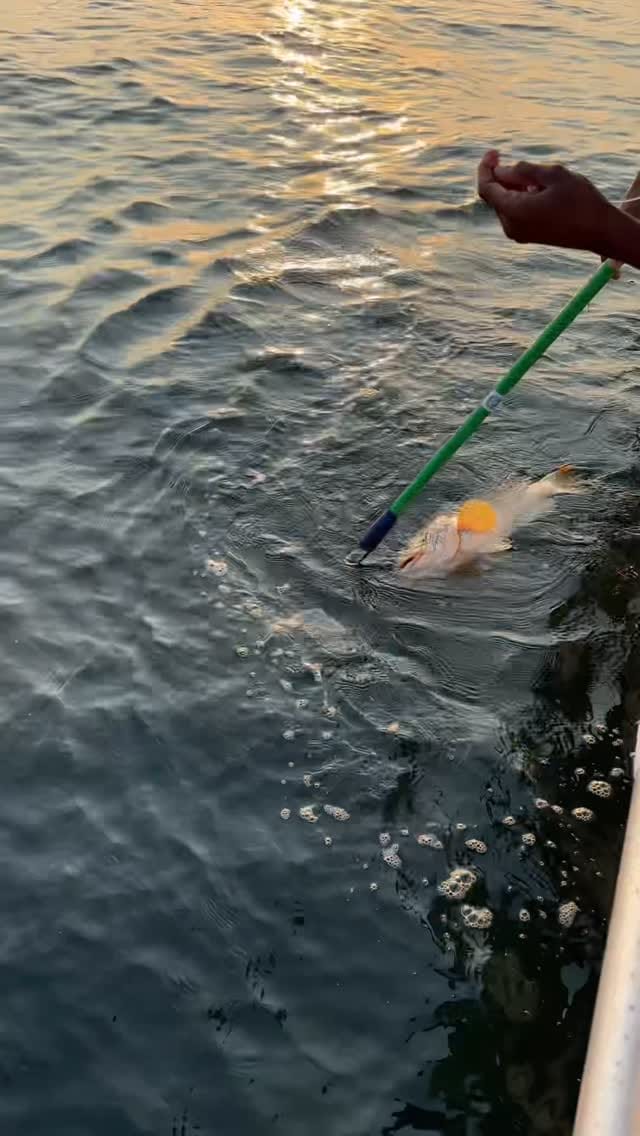 Post 1 by 🇦🇪رحلات صيد سمك🎣Dubai🇦🇪 on Instagram (video)