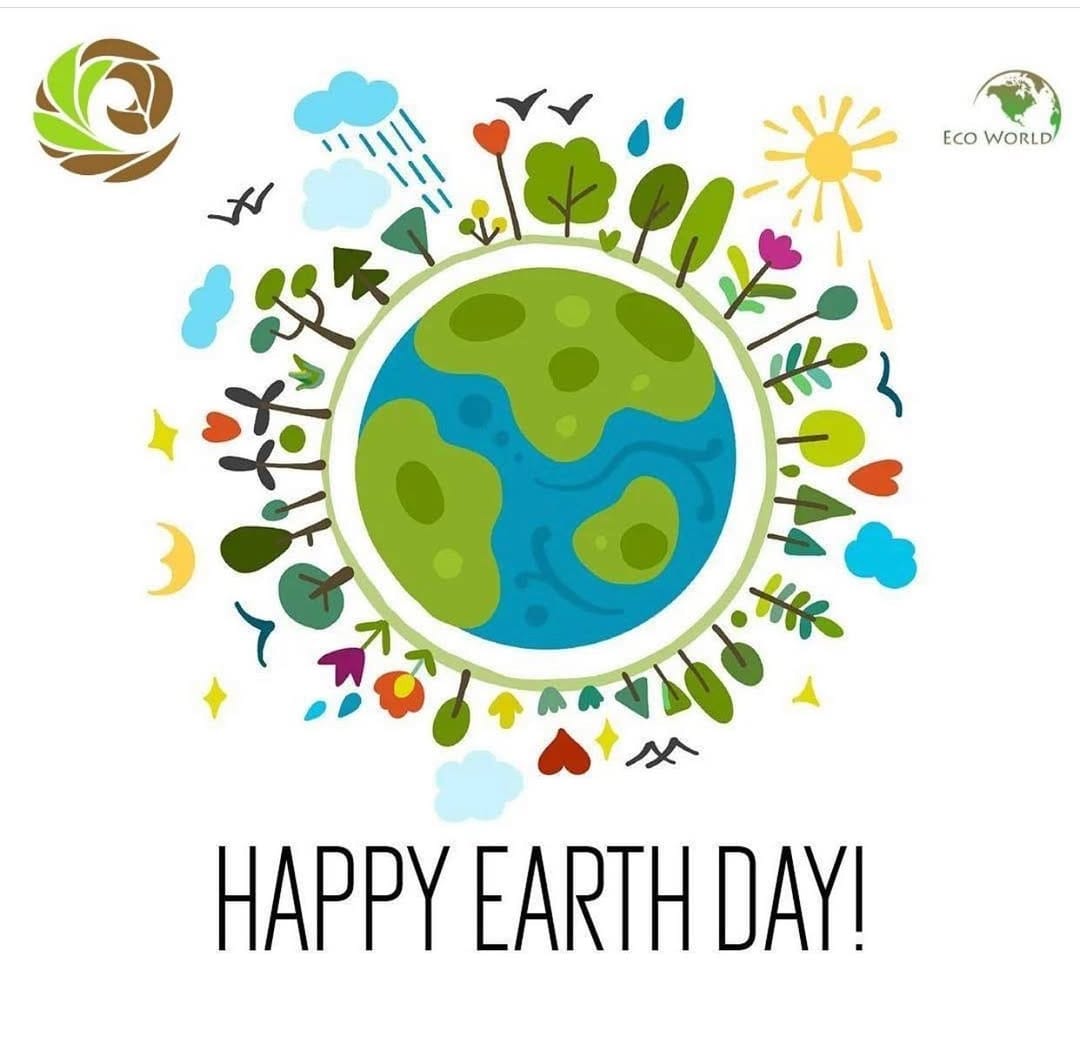 Post 9 by Ecohub on Instagram (image)