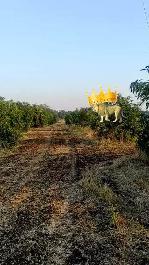 Post 7 by Ecohub on Instagram (video)