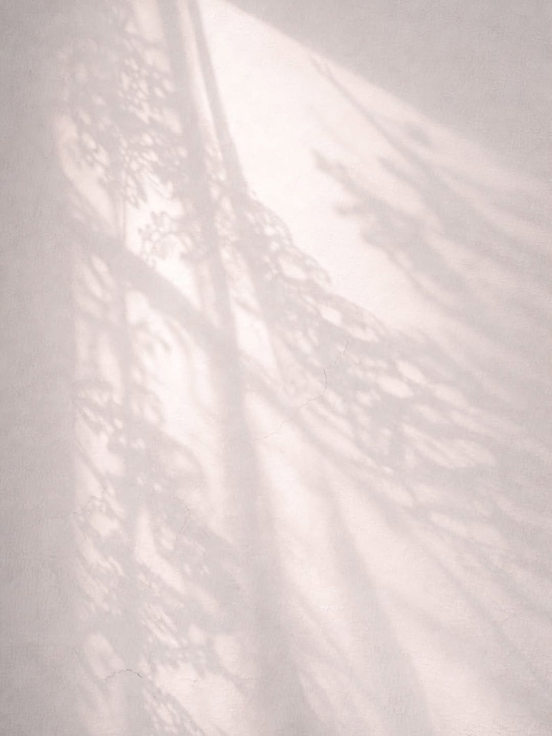 Post 4 by L‘ANISÉ on Instagram (image)