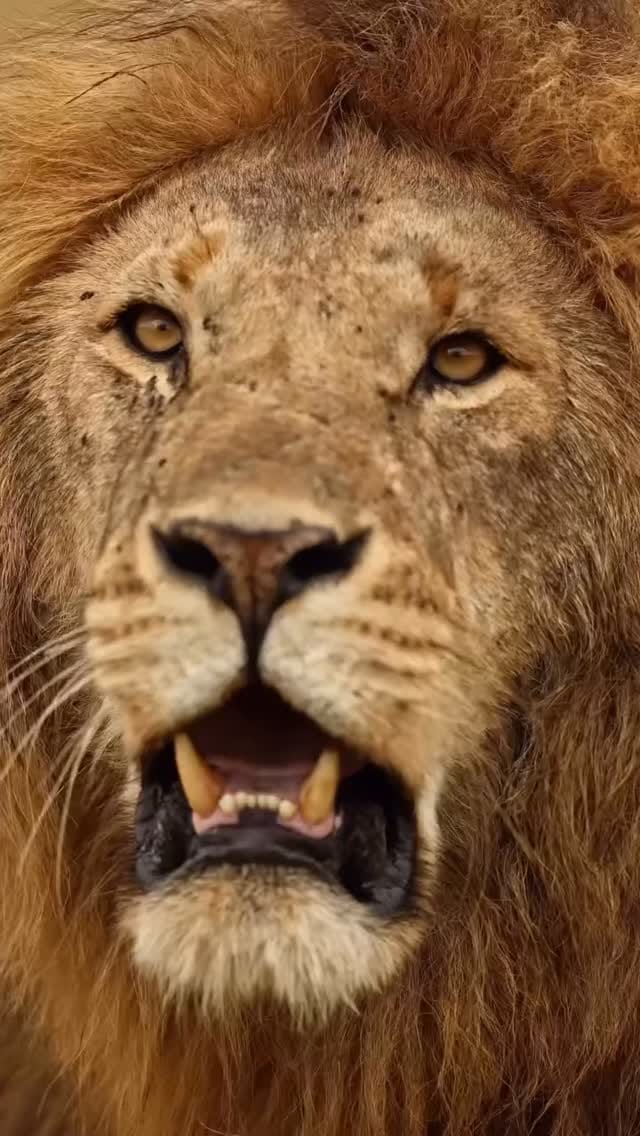 Post 2 by Unique Family Travel (UFT) on Instagram (video)