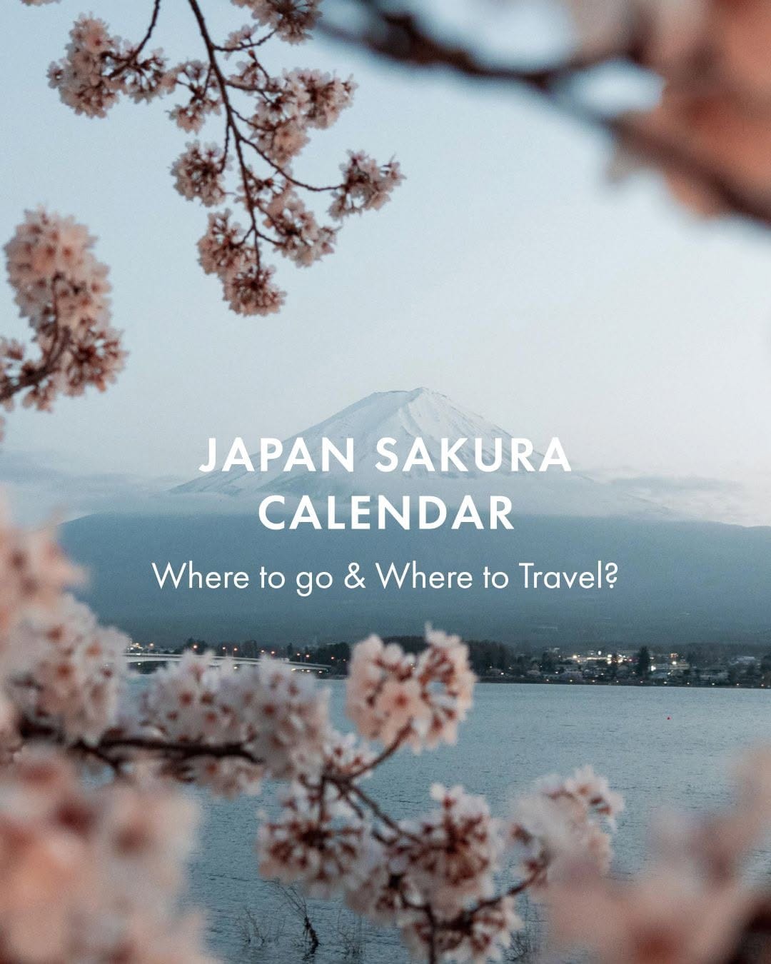 Post 2 by The Visa Services on Instagram (carousel)