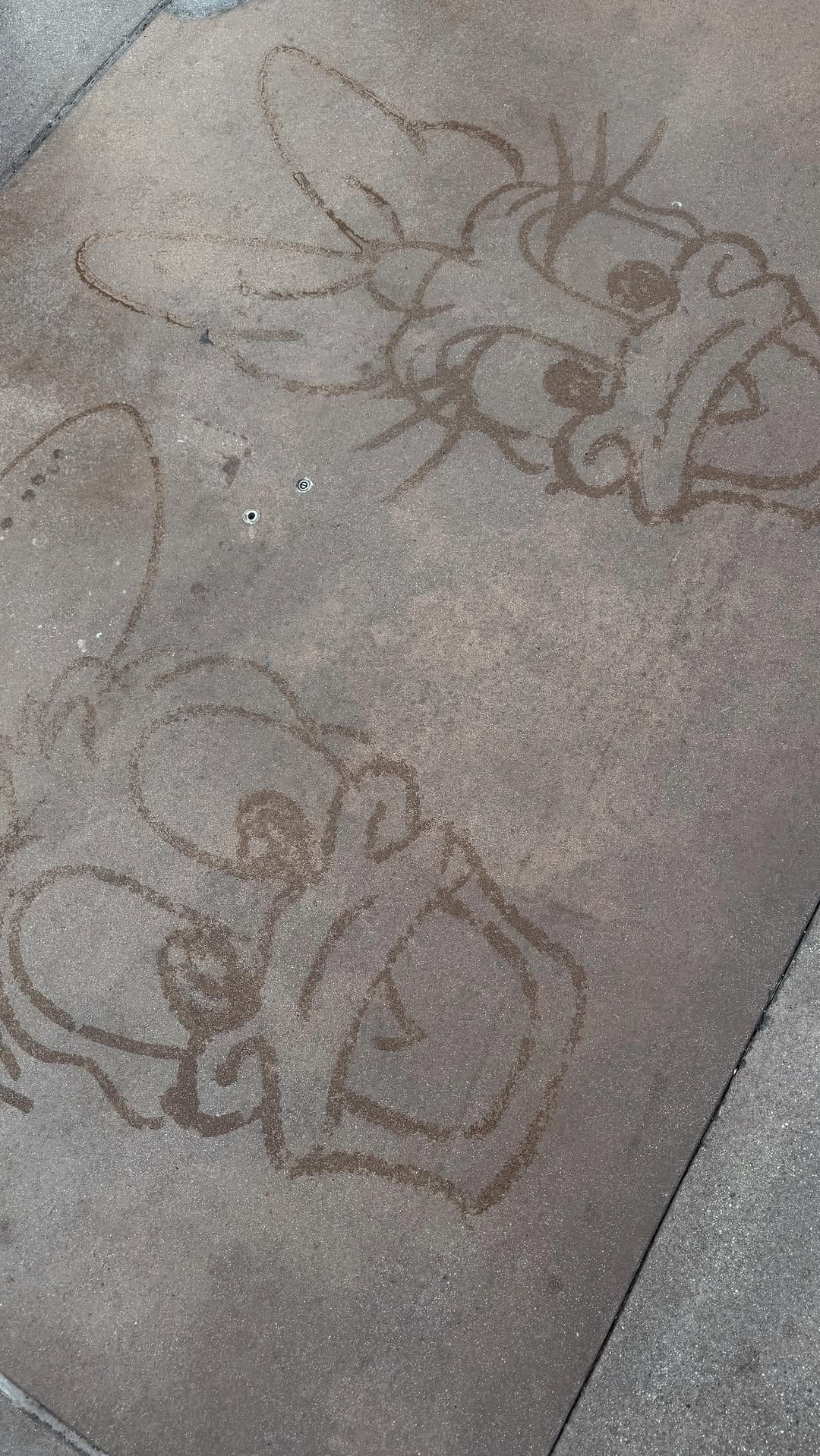 Post 2 by Erika Rodriguez on Instagram (video)