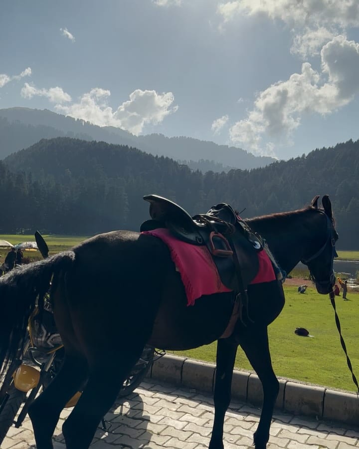 Post 5 by Khushi Rajput on Instagram (carousel)
