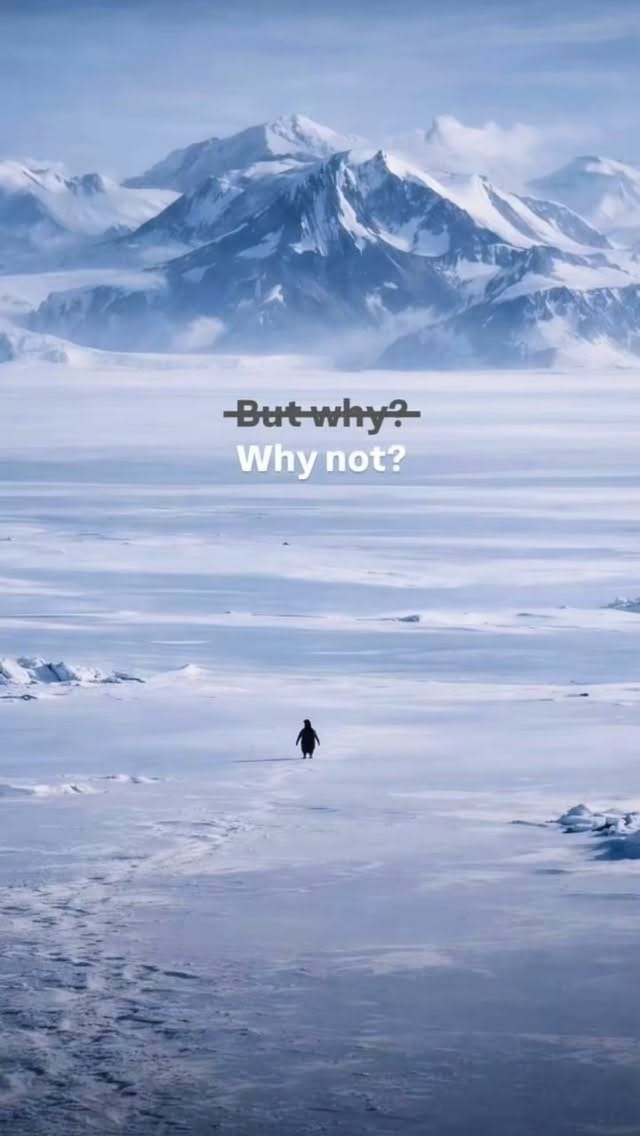 Post 1 by G Ꭷ L D  𝗕 𝝠 𝗞 𝗛 𝗠 𝝠 𝗟 𝗜 on Instagram (video)