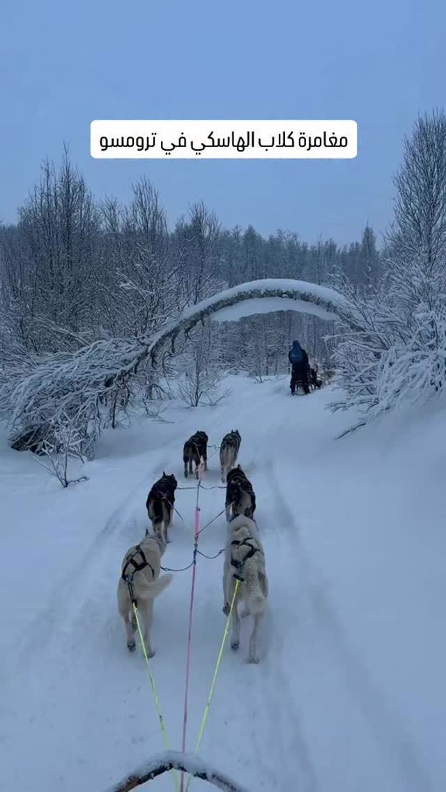 Post 1 by Abdalrhman Mohammed|🇳🇴 النرويج بعيوني on Instagram (video)