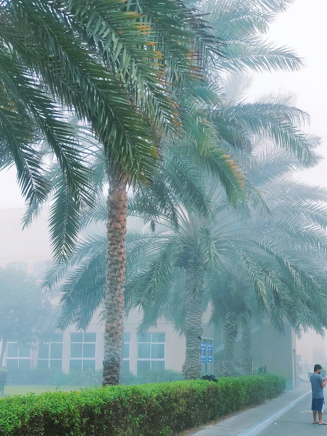 Post 5 by Sajawal on Instagram (image)