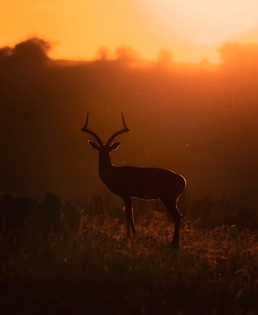 Post 3 by Λ Y E D   T Λ D R O S on Instagram (image)
