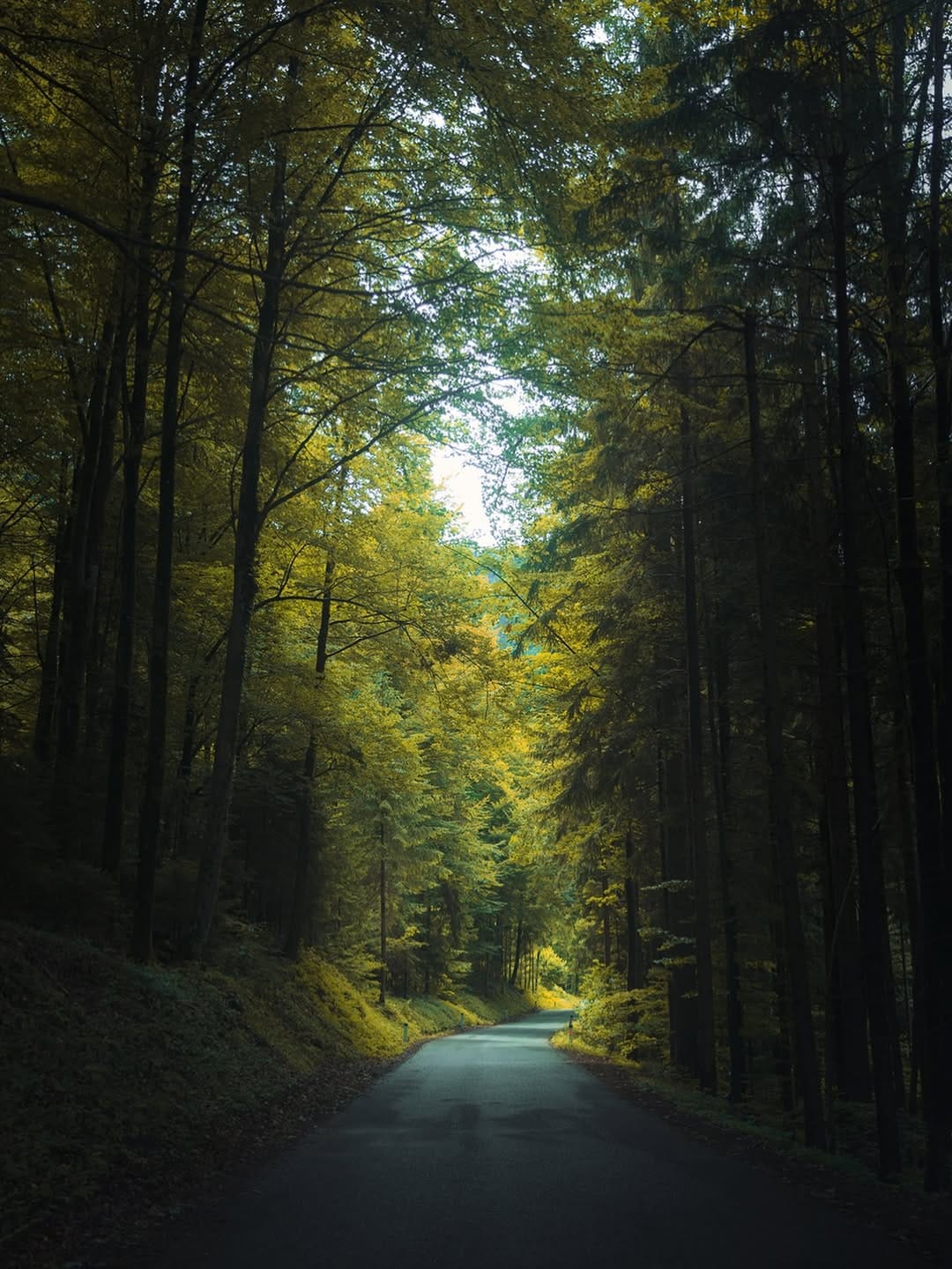 Post 10 by Λ Y E D   T Λ D R O S on Instagram (image)
