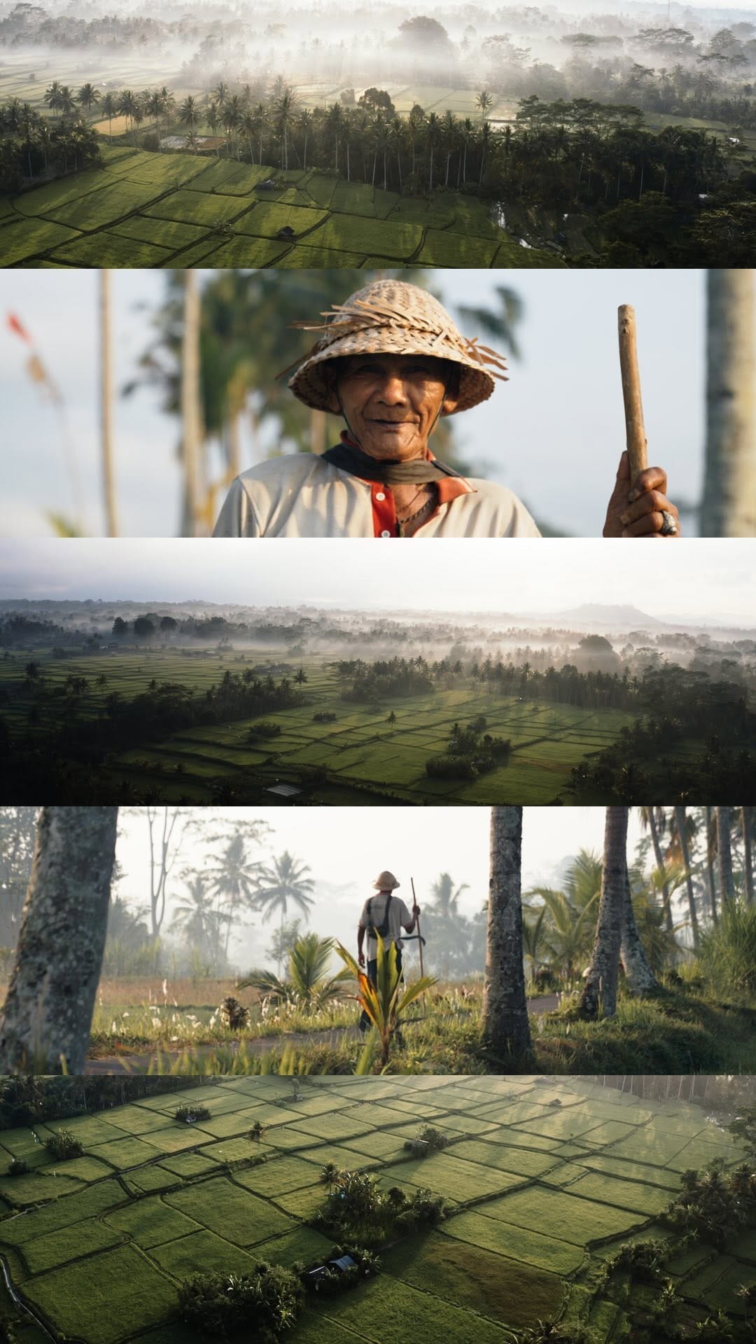 Post 10 by Pascal Bienek | Filmmaker on Instagram (video)