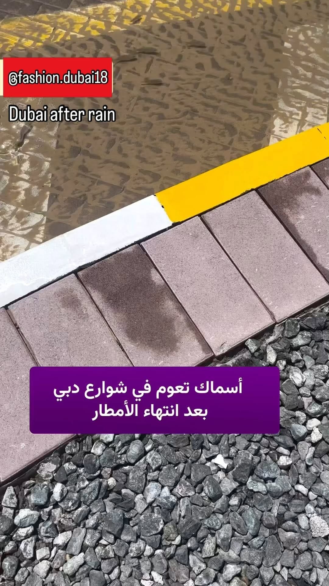 Post 3 by Fashion Dubai on Instagram (video)
