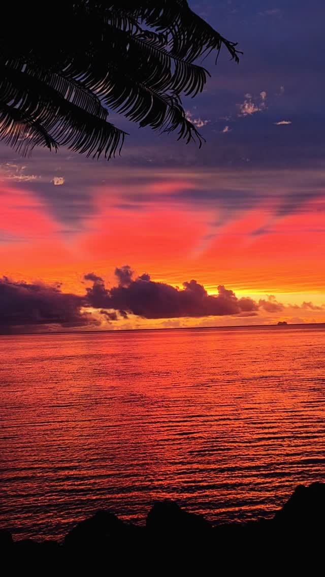 Post 8 by Athos Solo on Instagram (video)