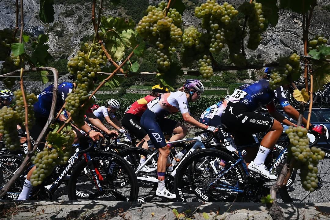 Post 3 by Alena Amialiusik on Instagram (carousel)