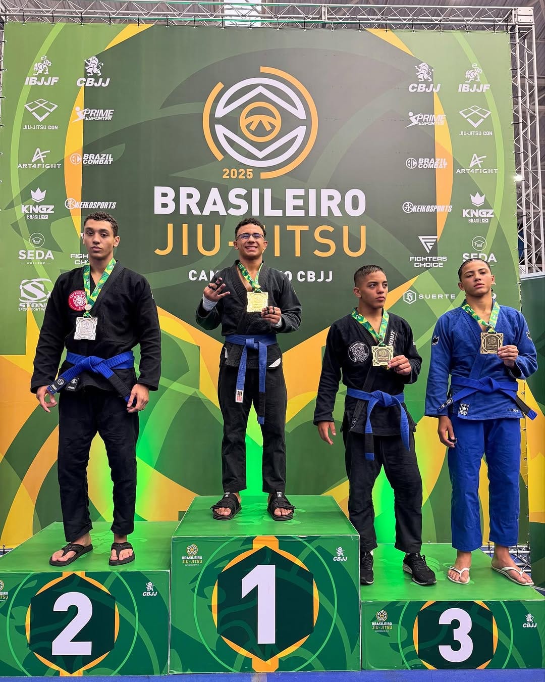 Post 8 by @raphael_bjj2 on Instagram (image)