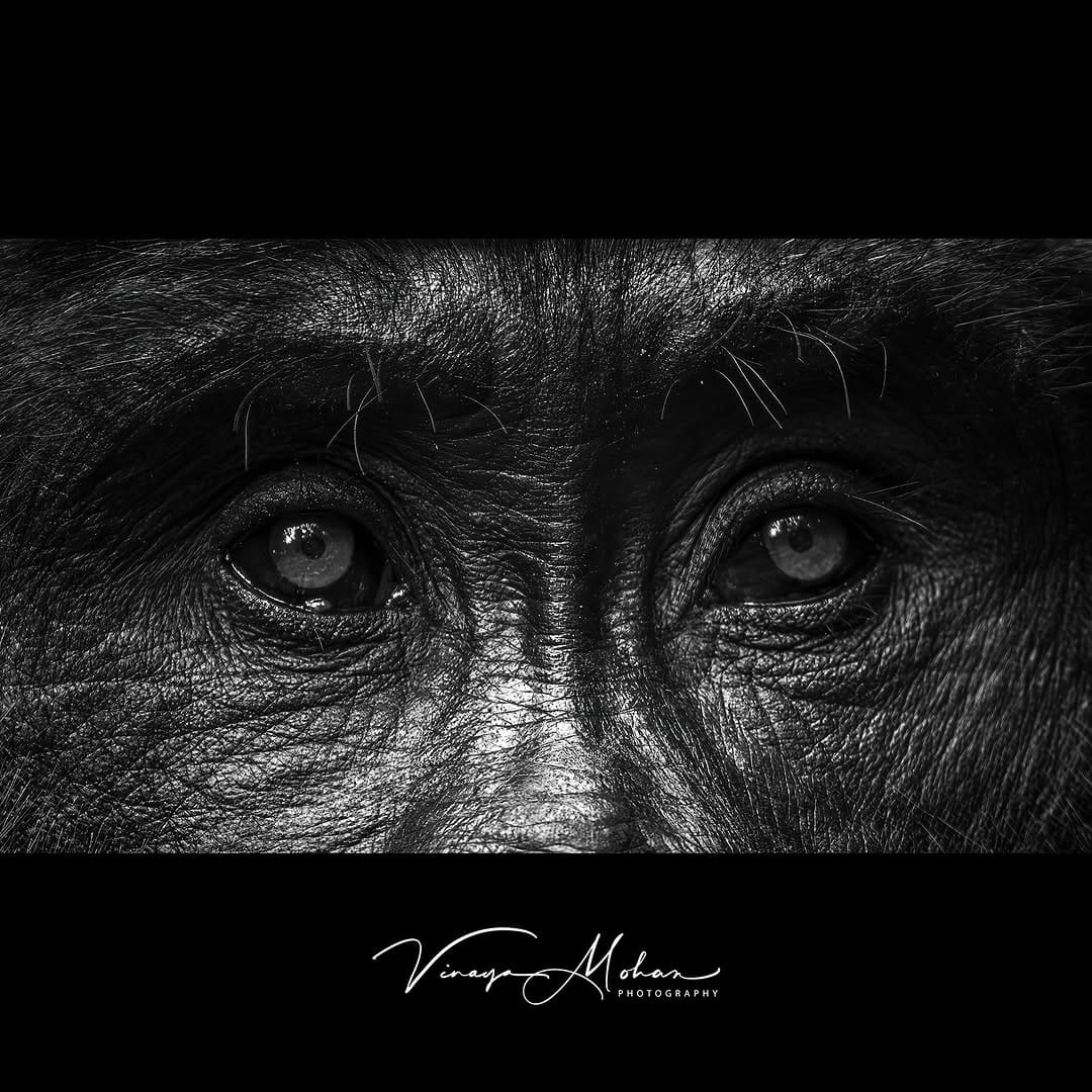 Post 7 by Vinaya Mohan on Instagram (image)