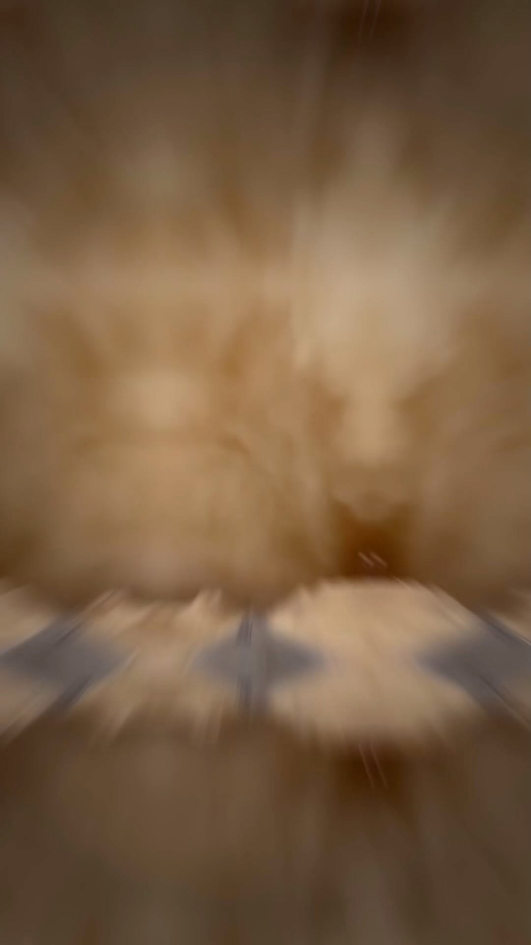 Post 9 by Reet Sandhu on Instagram (video)