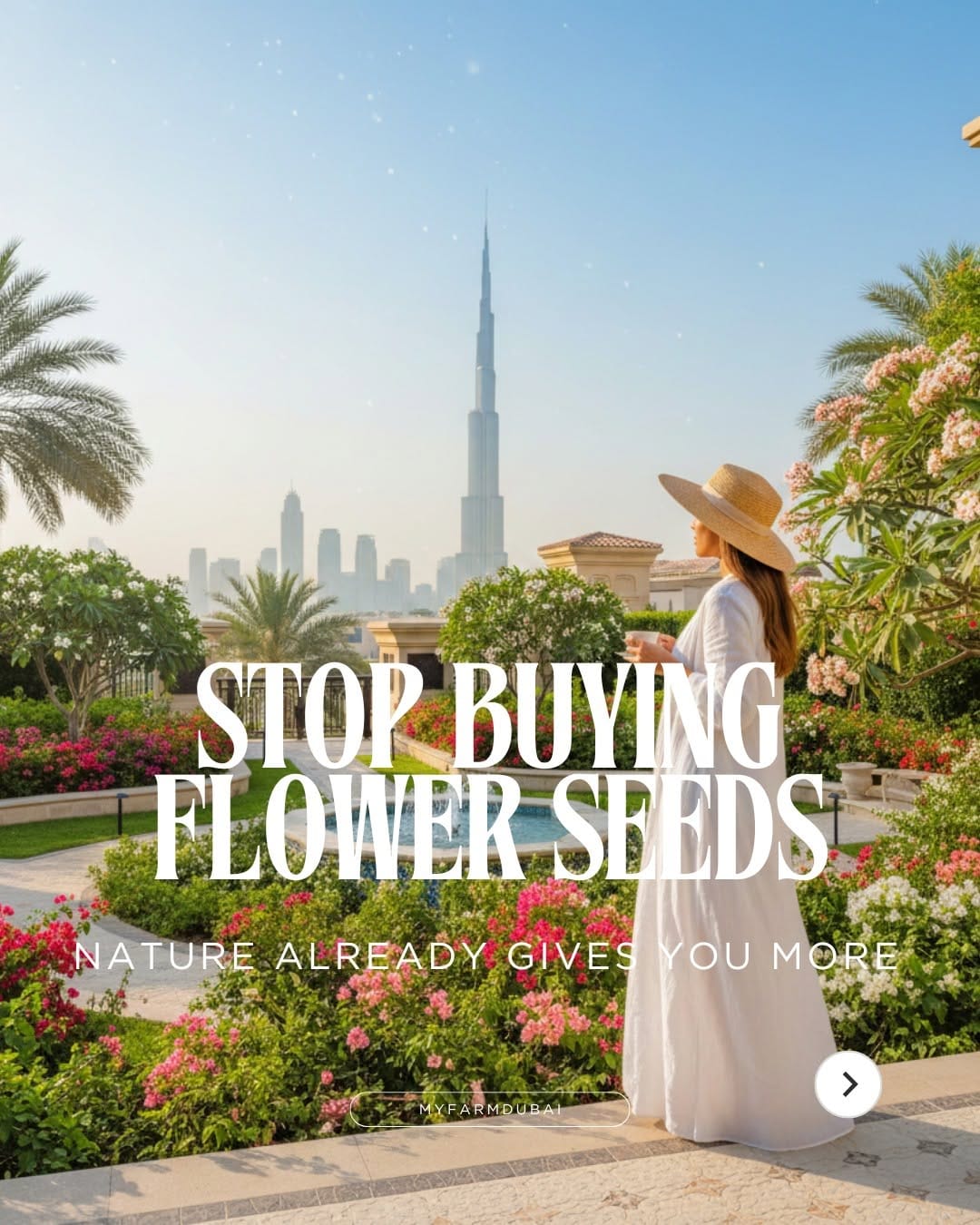 Post 4 by Sustainable Farming & Natural living in Uae 🇦🇪 on Instagram (carousel)