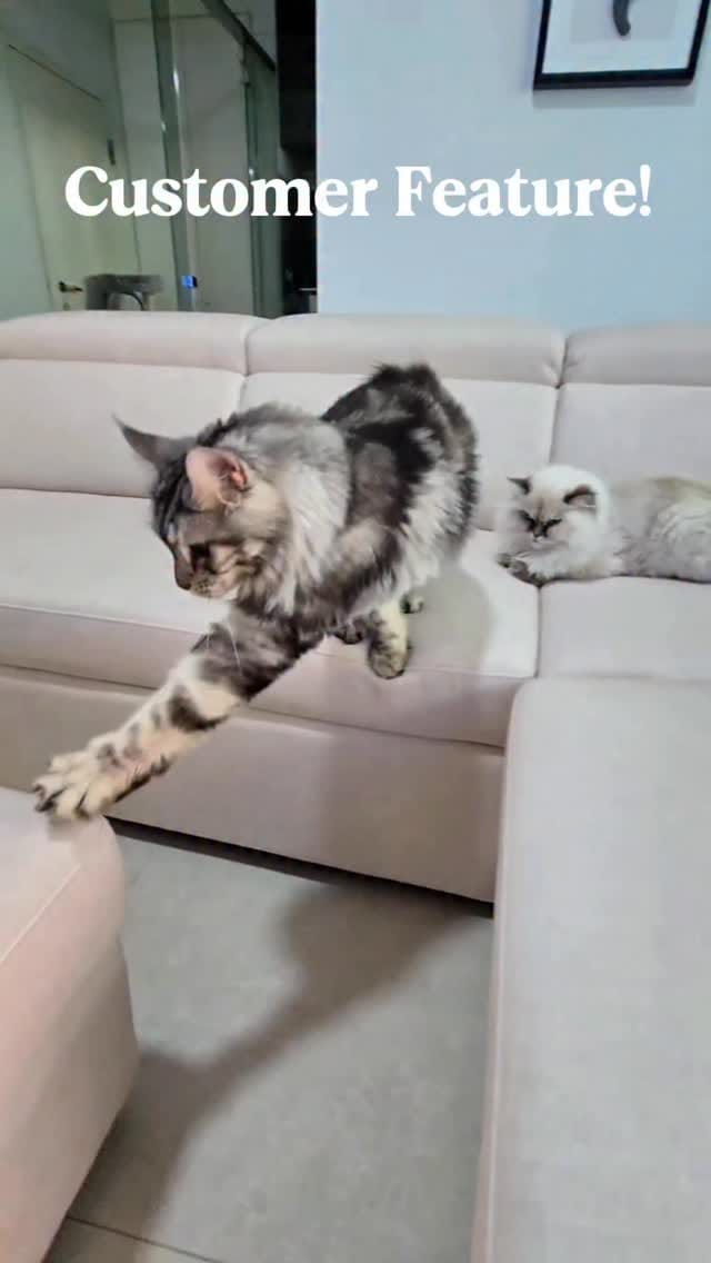 Post 5 by Bless Brothers on Instagram (video)