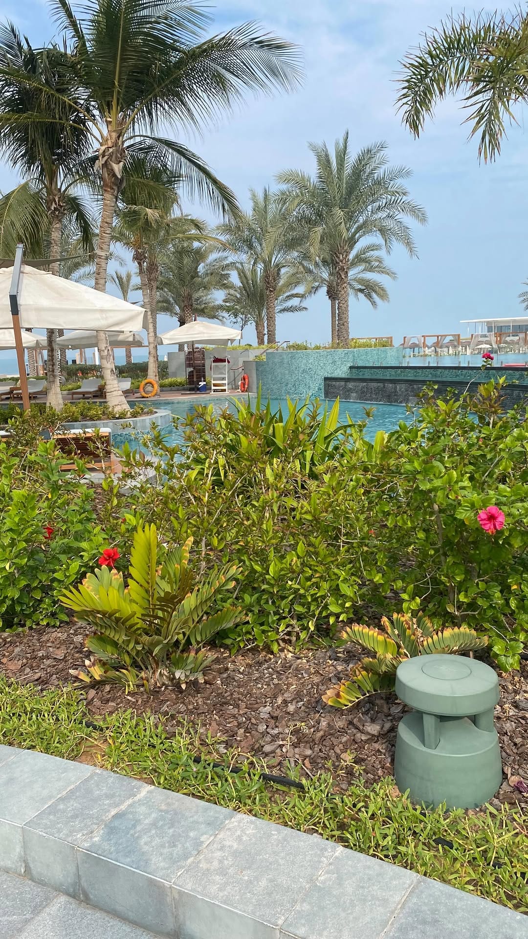 Post 9 by Dubai Food DUBAIBLOGGER on Instagram (video)