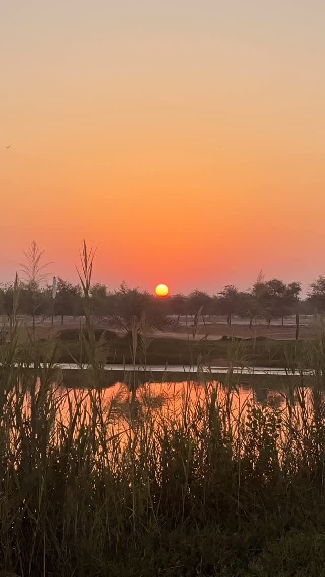 Post 2 by Rob Tulio on Instagram (video)