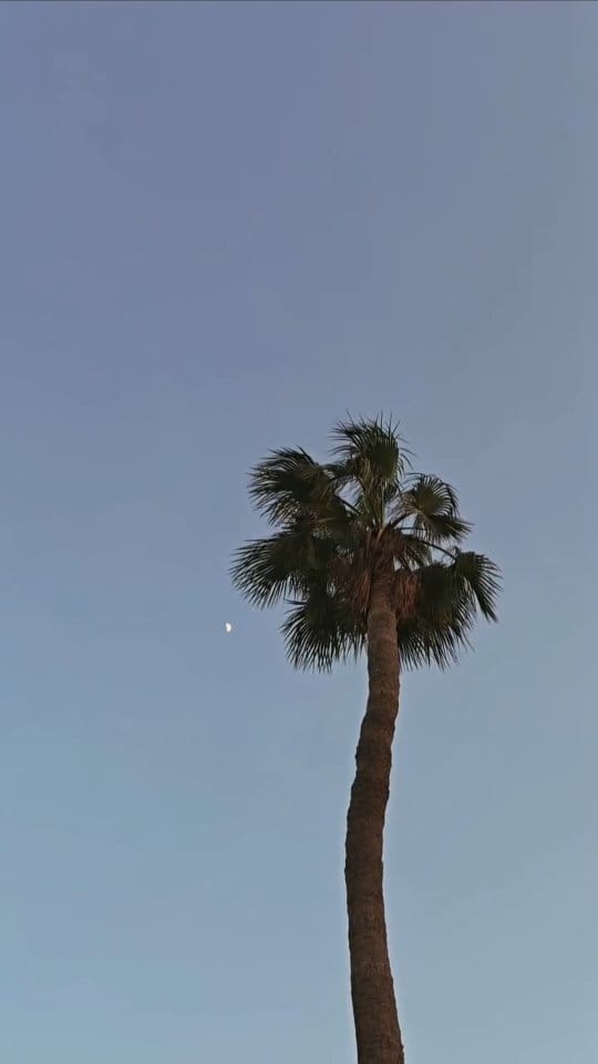 Post 2 by Lina Mo لينا مو on Instagram (video)