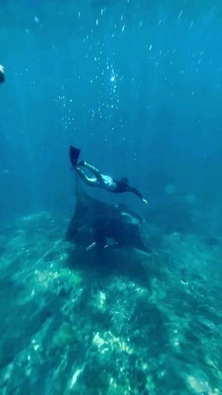 Post 10 by Paul Tillsley on Instagram (video)