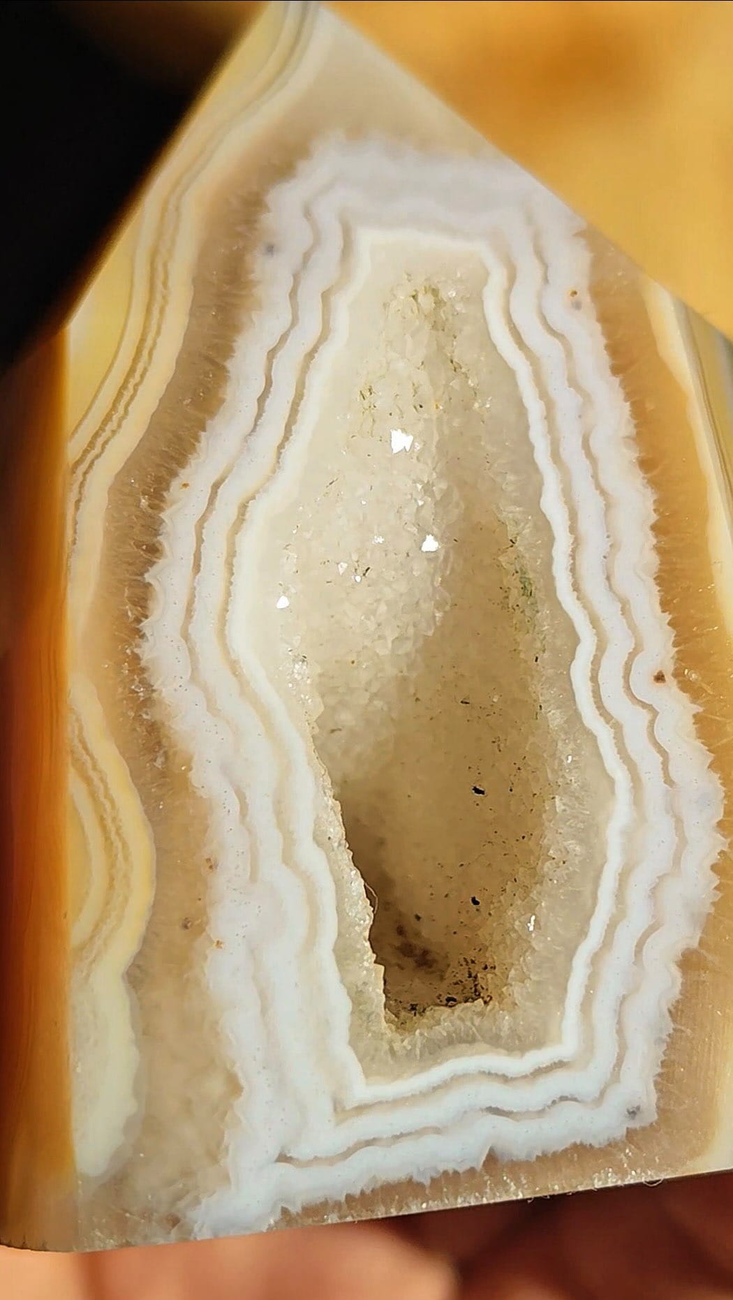 Post 3 by Holly Holistic on Instagram (video)
