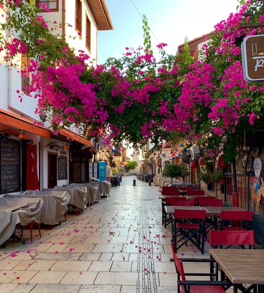 Post 9 by Reem Kilani on Instagram (image)