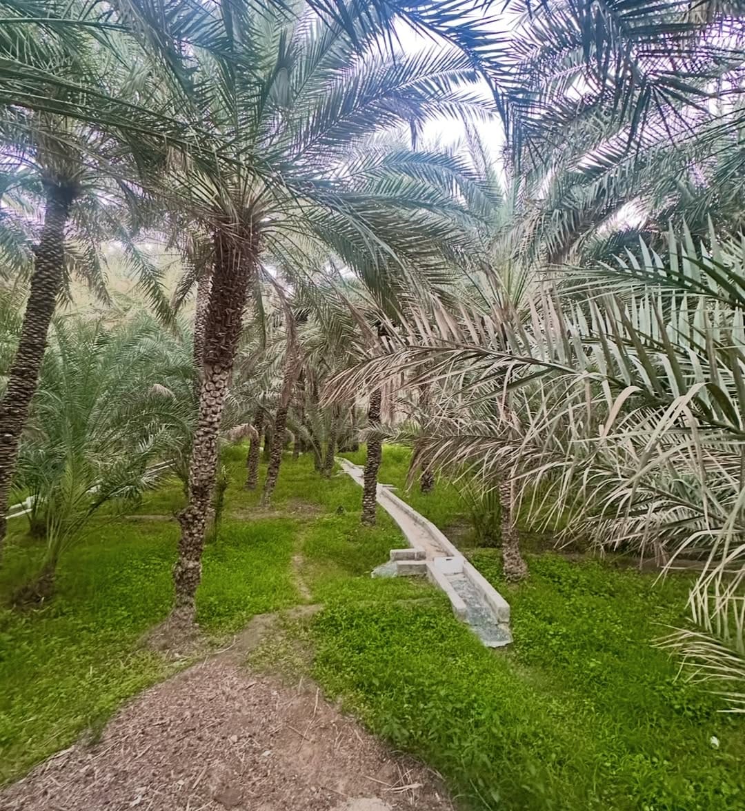 Post 3 by Reem Kilani on Instagram (image)