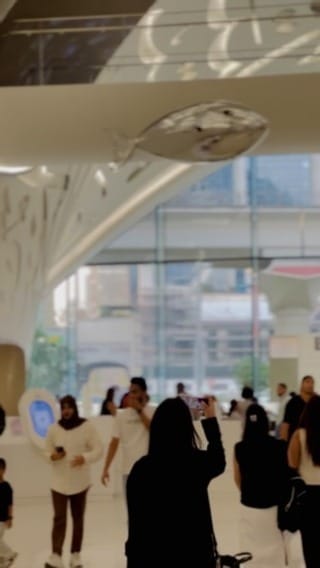 Post 9 by Sardar Taimoor on Instagram (video)