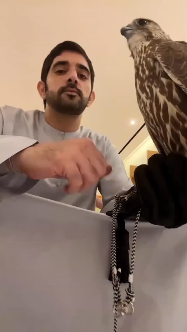 Post 4 by M. Fazil on Instagram (video)