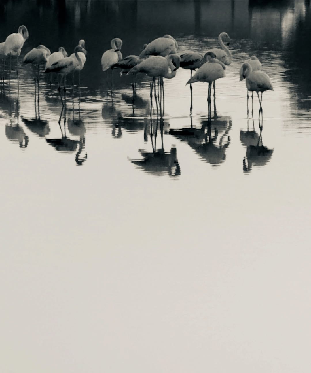 Post 5 by Tina Patni on Instagram (image)
