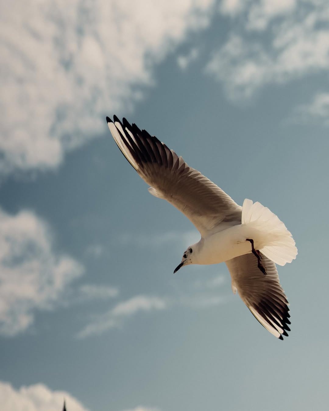 Post 6 by Ahmed Abd El-fattah |  احمد عبد الفتاح on Instagram (carousel)