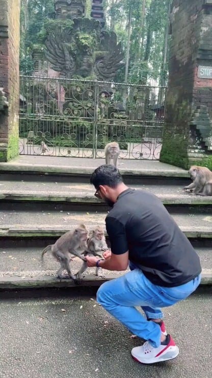 Post 4 by Mohammed Yasir on Instagram (video)