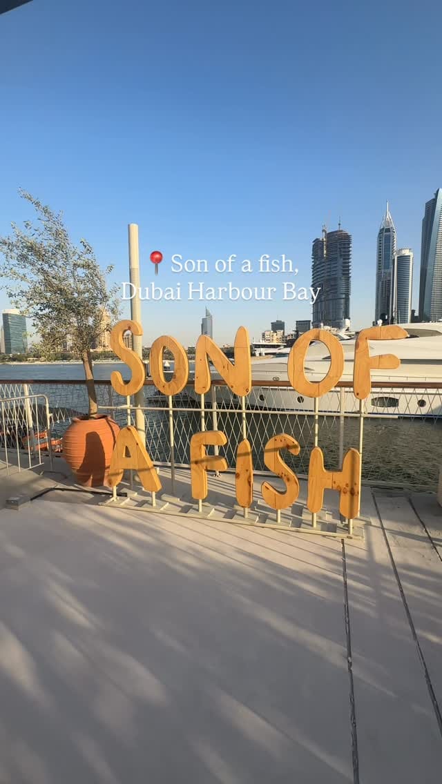 Post 1 by Elisabeth Pries on Instagram (video)
