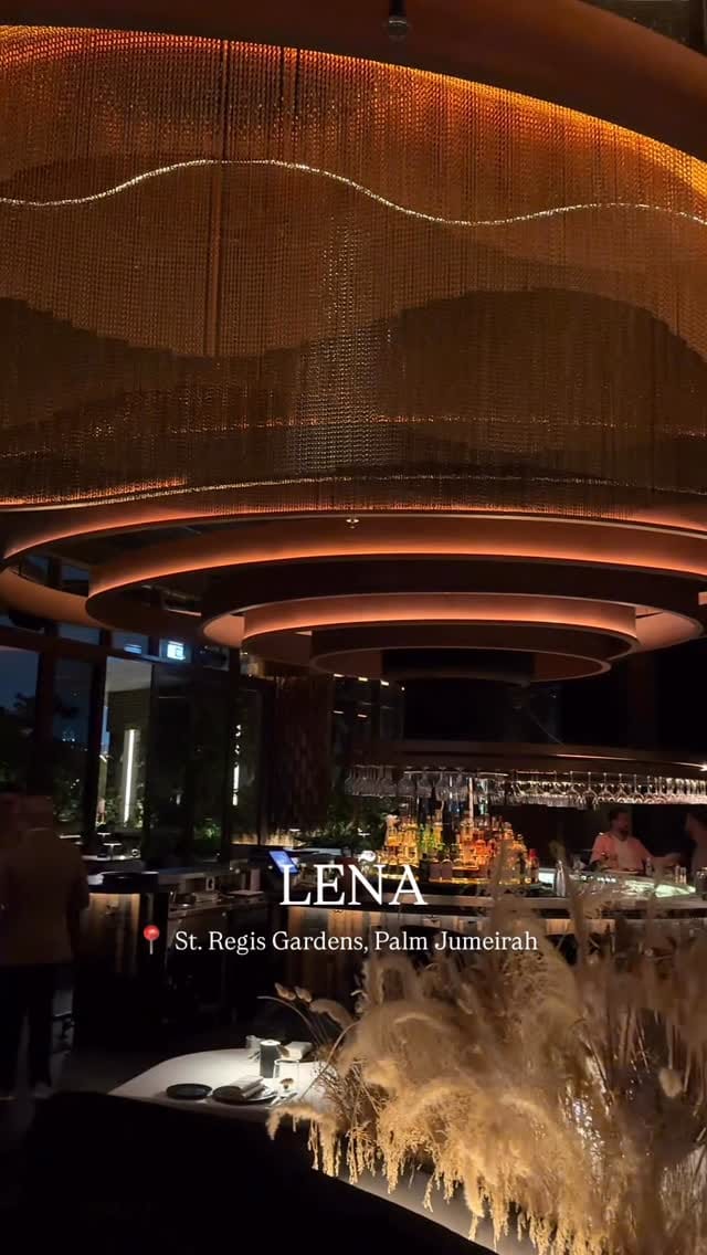 Post 5 by Elisabeth Pries on Instagram (video)