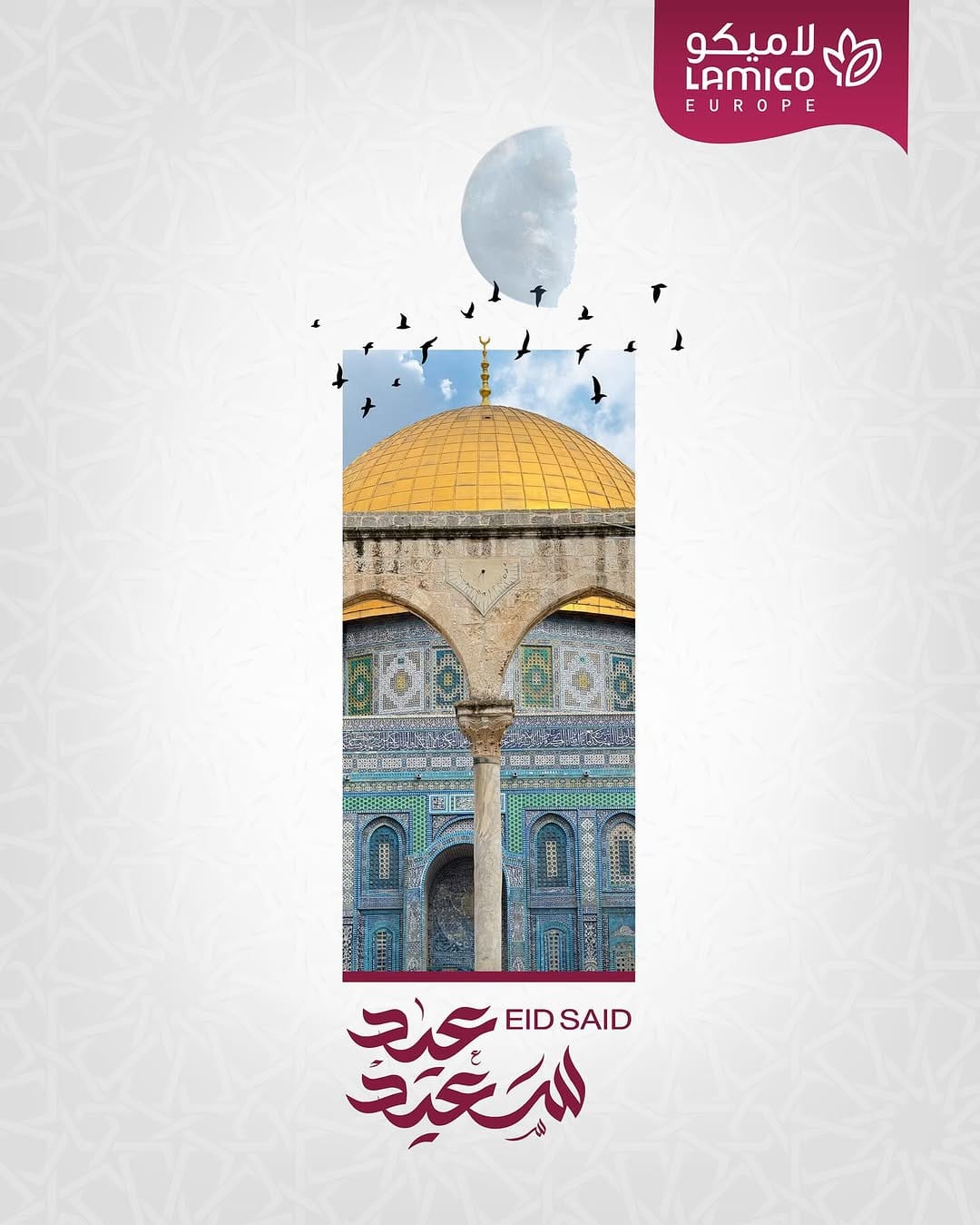 Post 1 by Lamico Europe 🇪🇺| شركة لاميكو التجارية أوروبا on Instagram (image)