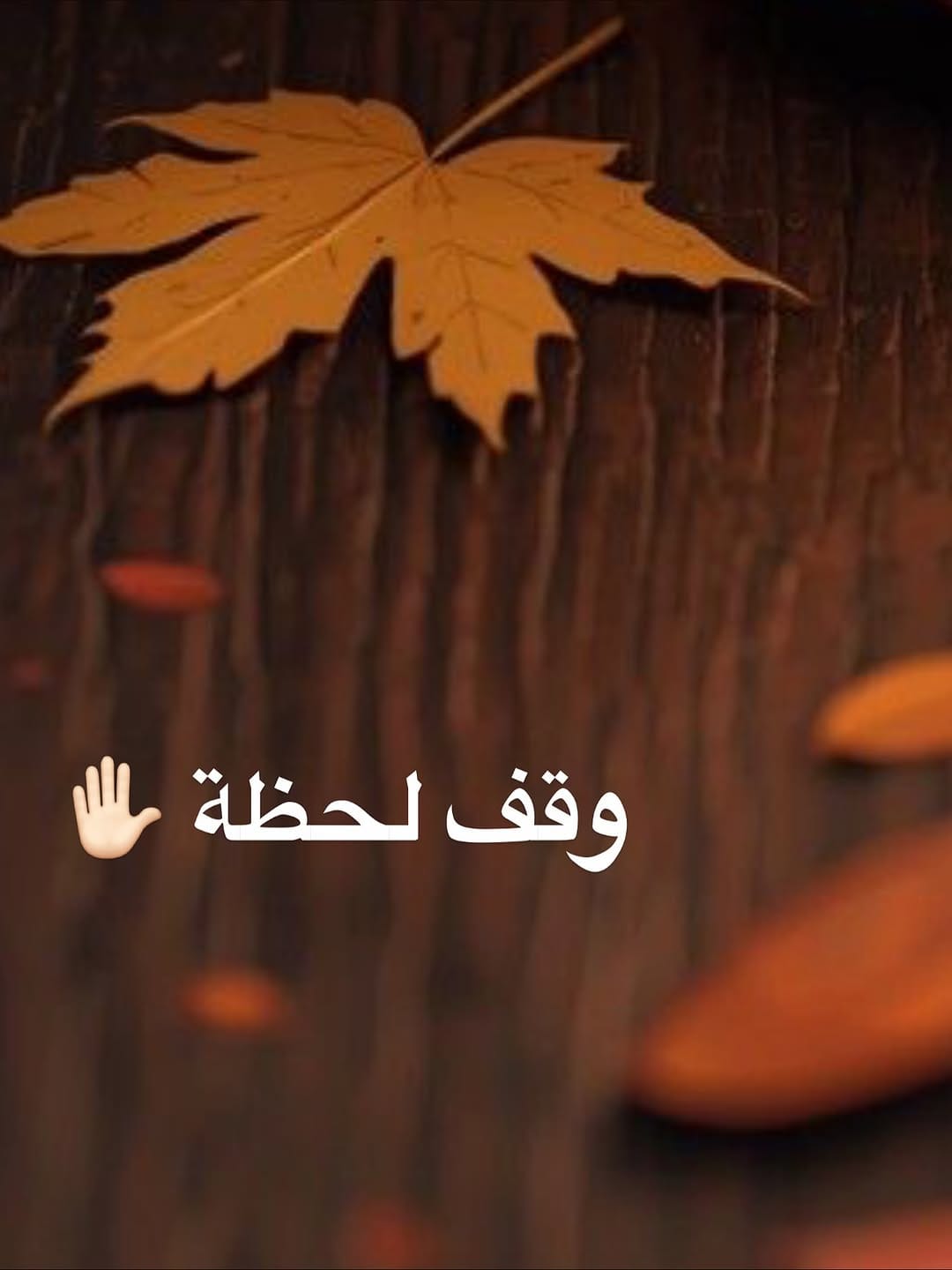 Post 9 by Sahar Al Dasouqi | سحر الدسوقي on Instagram (carousel)