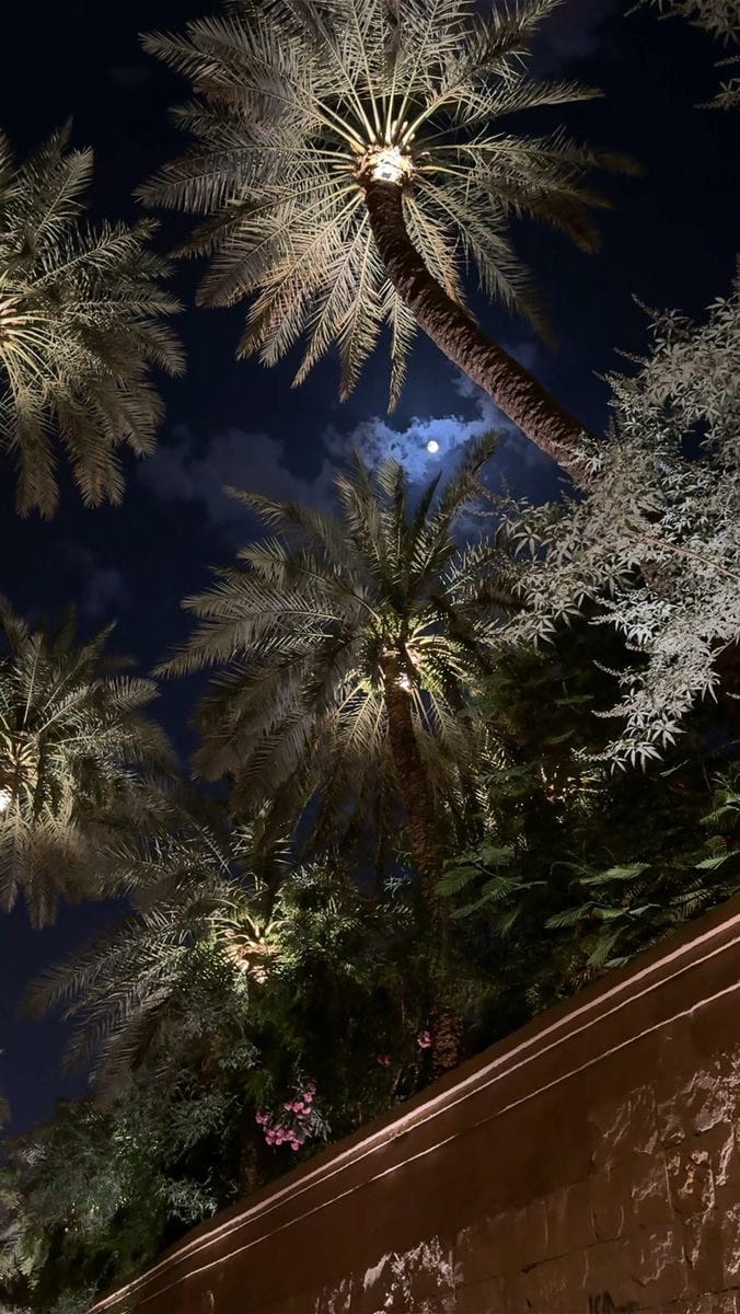 Post 6 by Zahra mohamadizade on Instagram (video)