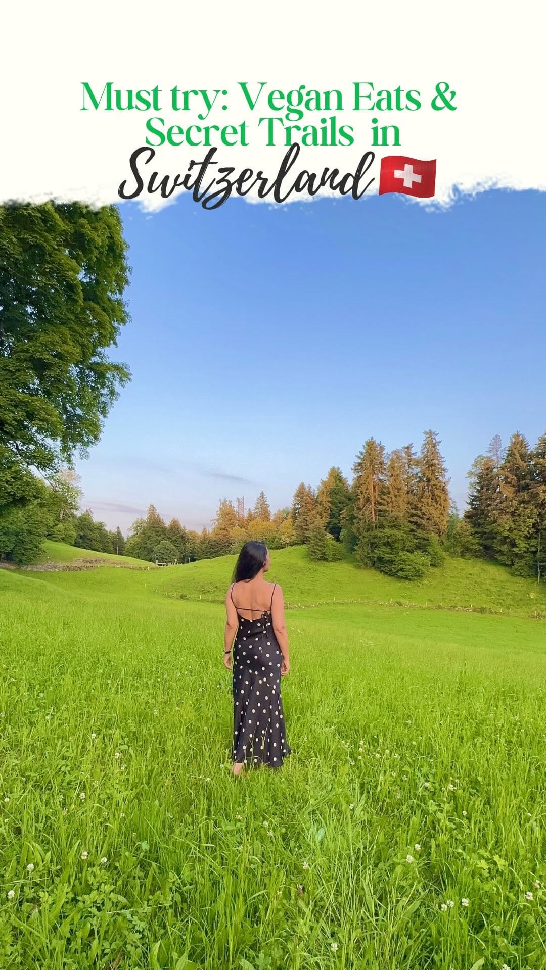 Post 10 by Shruti Jain: Vegan Fashion 🌱 on Instagram (video)