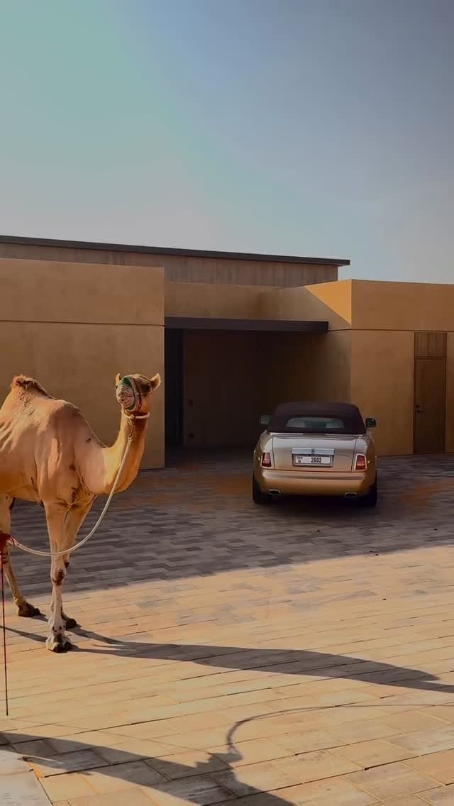 Post 2 by Mohamed Chehiba ⚝ on Instagram (video)